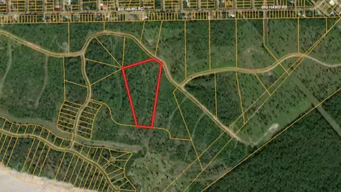 tbd Eagle Falls Blvd, Trinity, TX 75862