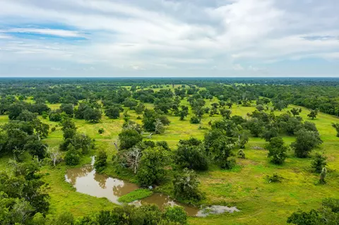 319 Cr 319, Brazoria, TX 77422