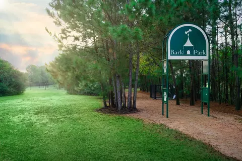 View/Area - 1114 Bringewood Chase Dr, Spring, TX 77379 photo 4 of 7
