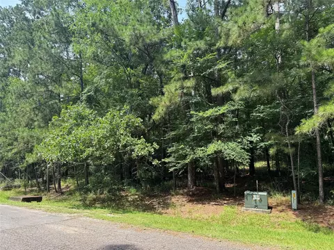 75 Green Tree Dr, Coldspring, TX 77331