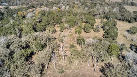 View/Area - 40934 Thomas Ln, Hempstead, TX 77445 photo 8 of 10
