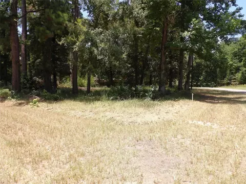 681 Plum Tree, Livingston, TX 77351