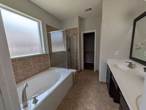 Bath - 25614 Crisp Spring Ln, Spring, TX 77373 photo 6 of 9
