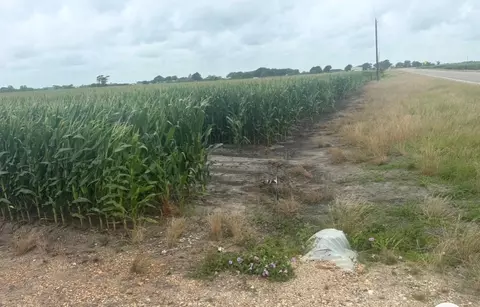 0 Fm 1162, Wharton, TX 77437