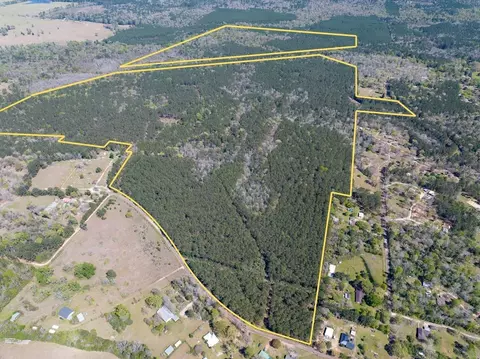 526 Mount Pisgah Rd, Woodville, TX 75979