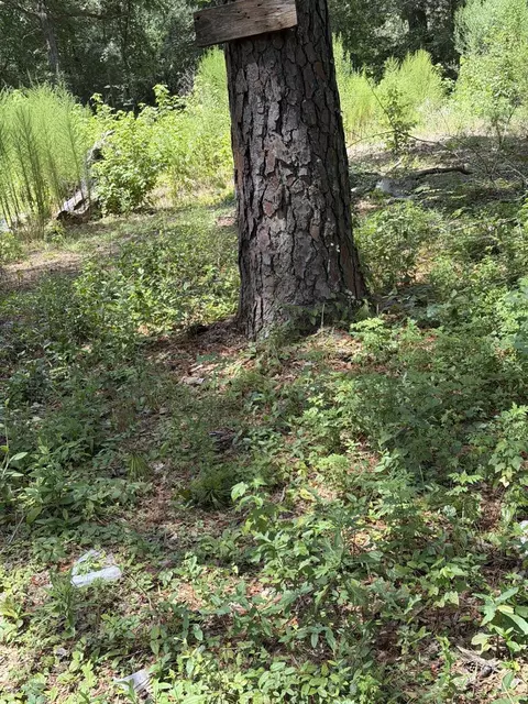 41502 S Buckhorn Ln, Magnolia, TX 77354