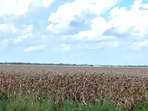 0 Fm 458, Midfield, TX 77458 photo 7