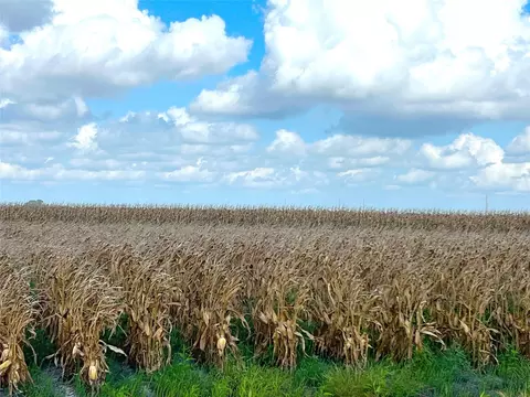 0 Fm 458, Midfield, TX 77458 photo 3