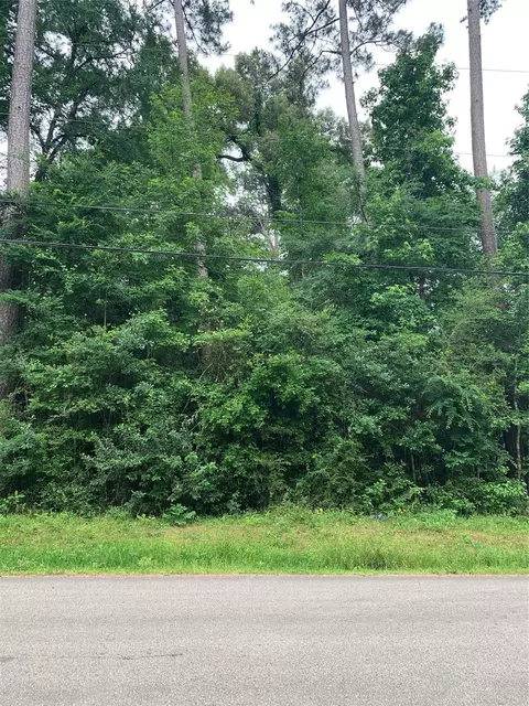 000 Birch Dr, Montgomery, TX 77356