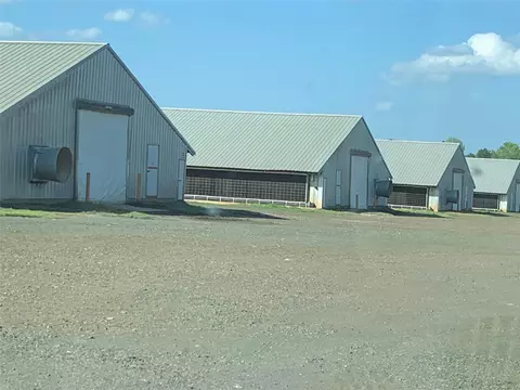 Other - 426 Sid Dennis Ln, San Augustine, TX 75972 photo 3 of 14