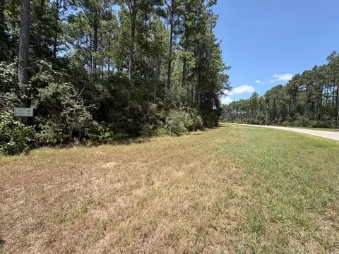lot54 Grey Feather Rd, Huntsville, TX 77340