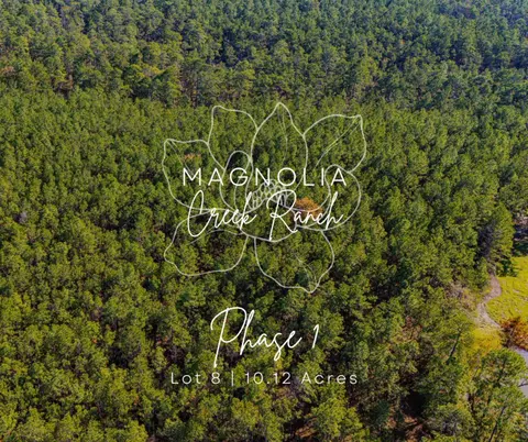 018 Magnolia Ranch Rd, Onalaska, TX 77360