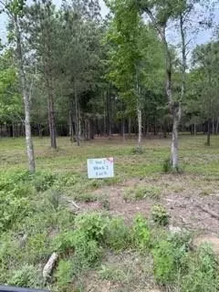 139778 Capital Creek Ranch Blvd, Willis, TX 77378