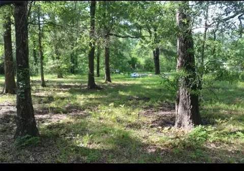 211 Panther Ln, Livingston, TX 77351