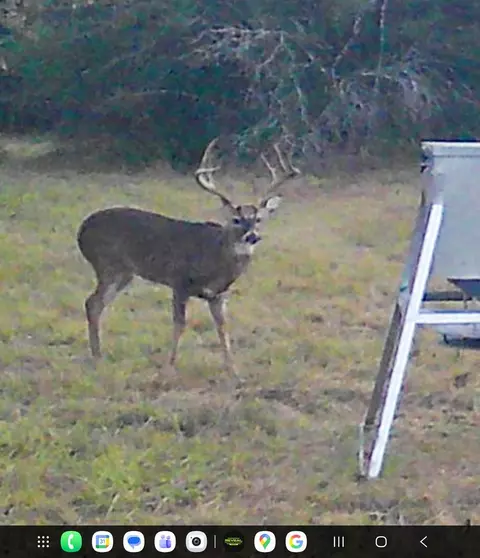 Other - 000 Burns Rd, Midway, TX 75852 photo 10 of 13