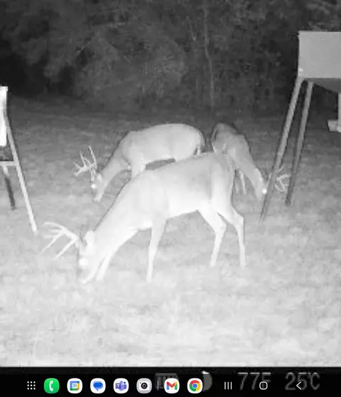 Other - 000 Burns Rd, Midway, TX 75852 photo 8 of 13