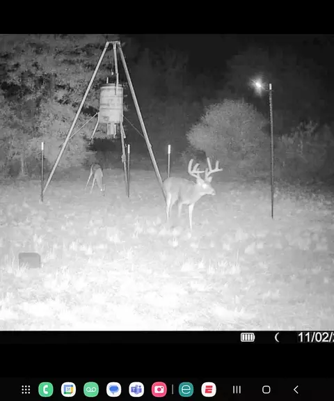 Other - 000 Burns Rd, Midway, TX 75852 photo 7 of 13