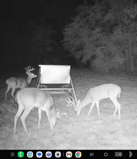 Other - 000 Burns Rd, Midway, TX 75852 photo 1 of 13