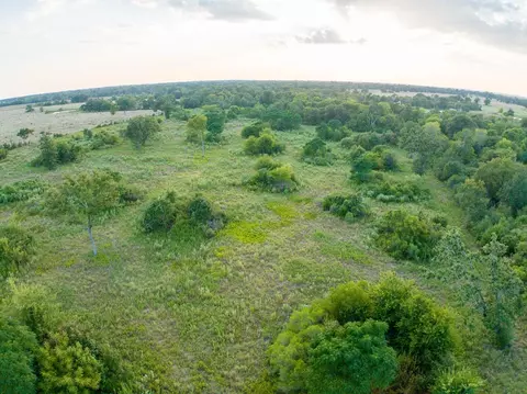 View/Area - 000 Burns Rd, Midway, TX 75852 photo 7 of 14