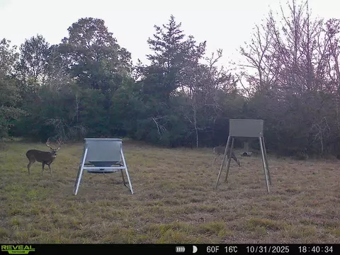 Other - 000 Burns Rd, Midway, TX 75852 photo 9 of 13