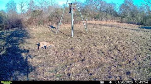 Other - 000 Burns Rd, Midway, TX 75852 photo 13 of 13