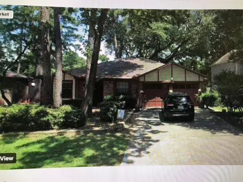 43 Dew Fall Ct, The Woodlands, TX 77380