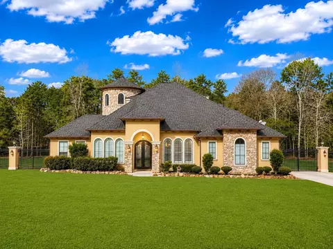 19709 Desna Dr, Porter, TX 77365