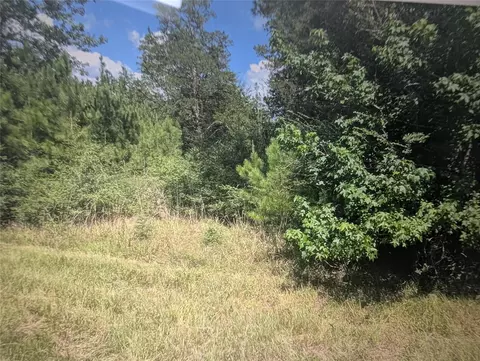 0 Hwy 59, Livingston, TX 77351