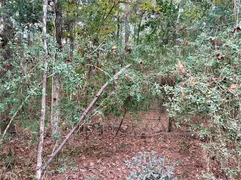 tbd Magnolia Duke Dr, Livingston, TX 77351