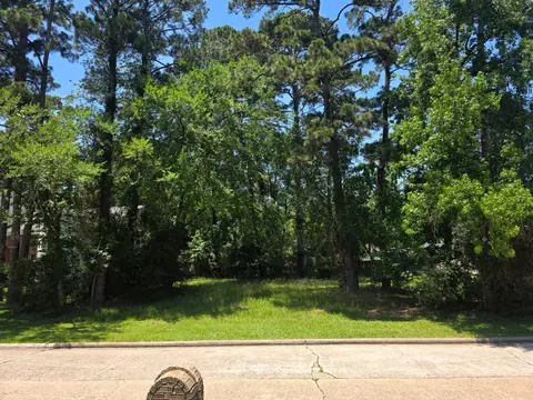 3303 Hemingway Dr, Montgomery, TX 77356