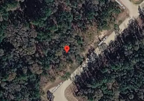 159 Hollow Hill Dr, New Waverly, TX 77358
