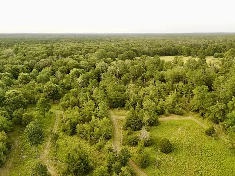9695 County Rd 3555, Lovelady, TX 75851