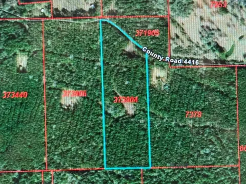 795 County Road 4416, Spurger, TX 75979