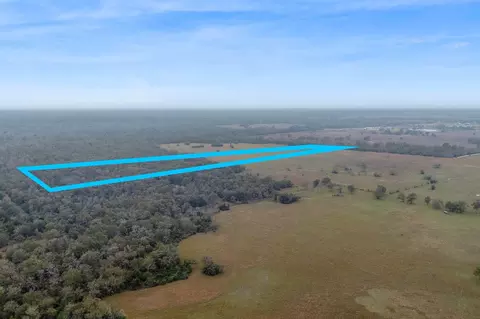 Cr 123 - Tract 3, Bedias, TX 77831