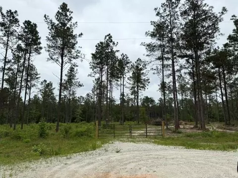 00 Richardson Rd E, Livingston, TX 77351