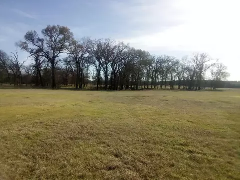 Tr 87 County Road 231, Centerville, TX 75833