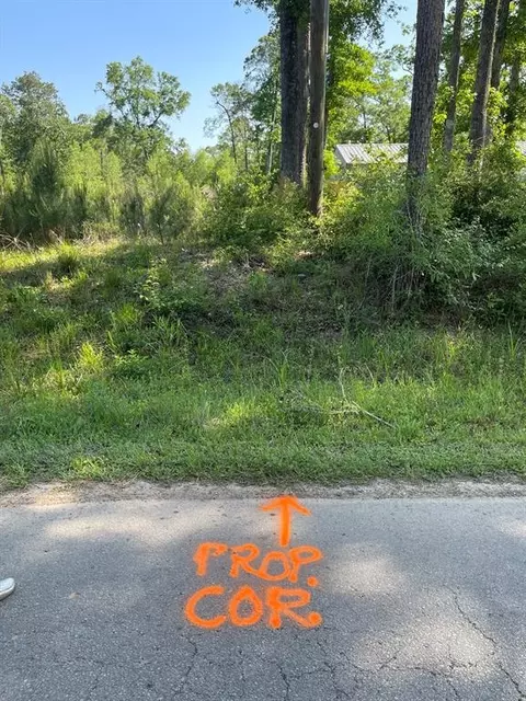 373 County Rd Kingpont Road Rd, Splendora, TX 77372