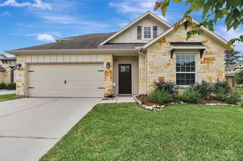 11711 Petal Falls Ln, Tomball, TX 77377