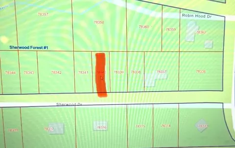 tbd Sherwood Dr, Shepherd, TX 77371