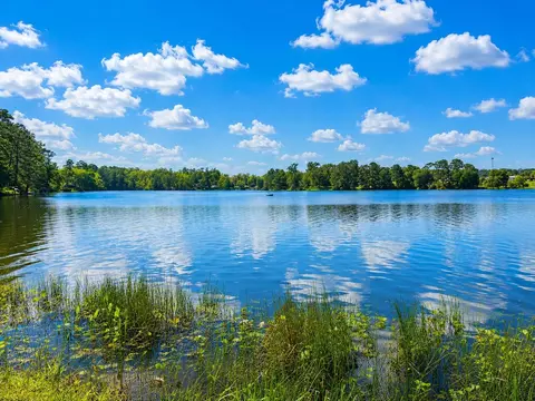 12789 Royal West Dr, Conroe, TX 77303
