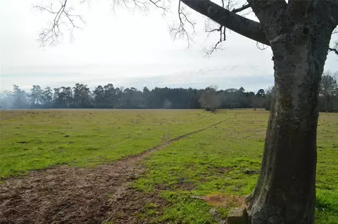 Tbd 001 Wiggins, Conroe, TX 77302