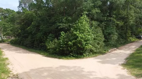 tbd Blue Quail Dr, Coldspring, TX 77331
