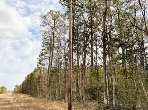 Other - 7 Fm 1746, Spurger, TX 77660 photo 2 of 12
