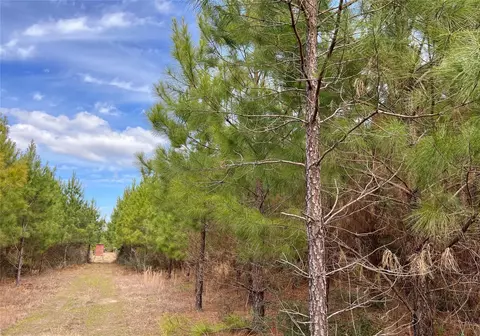 Other - 7 Fm 1746, Spurger, TX 77660 photo 10 of 12