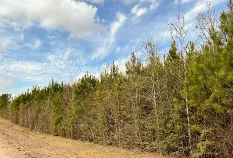 Other - 7 Fm 1746, Spurger, TX 77660 photo 3 of 12