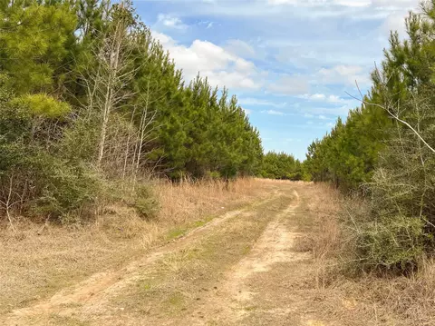 Other - 7 Fm 1746, Spurger, TX 77660 photo 9 of 12