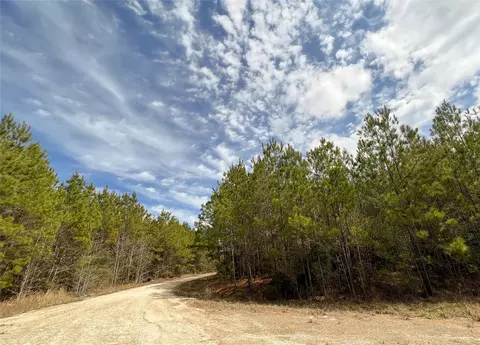 Other - 7 Fm 1746, Spurger, TX 77660 photo 7 of 12