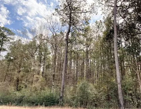Other - 7 Fm 1746, Spurger, TX 77660 photo 5 of 12