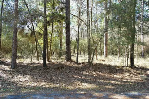 3 Magnolia Ct, Trinity, TX 75862 photo 2