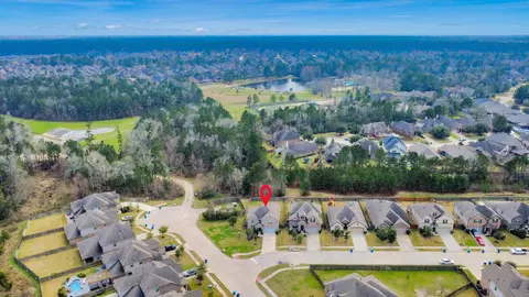 View/Area - 196 Chestnut Meadow Dr, Conroe, TX 77384 photo 1 of 1